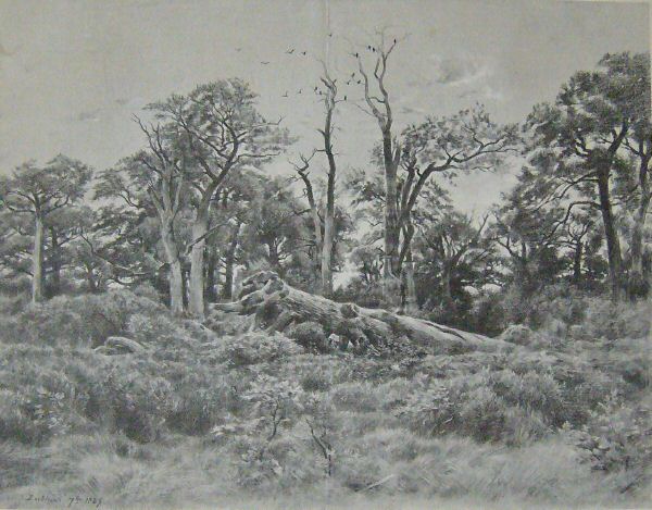 emile_michel_Barbizon1885.jpg