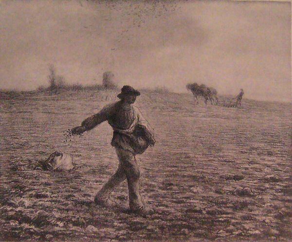 millet_262.jpg